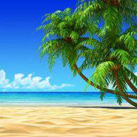 海边椰子树的头像：还记得上一年看阚清子和纪凌尘的综艺节目