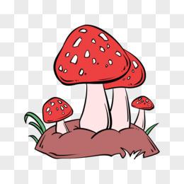 怎么弄毒蘑菇头像： 世间所有不尽人意之事全靠硬扛你要接受成长也要接受所有的不欢而散