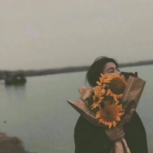情侣头像一个男生拿了一束向日葵什么意思啊：台风来了