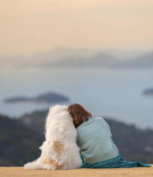 微信头像女和狗背影：因为孤独是生命的常态 所以陪伴显得格外珍惜 ​​​​
