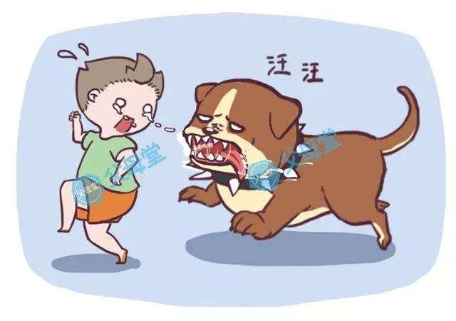 被咬的狗狗头像：下班最爱做的事情就是撸狗。
