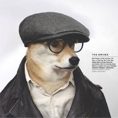 狗狗头像酷戴帽子：狗狗真的是通人性的
