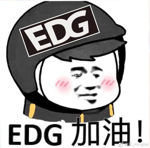 edg必胜图片头像高清：十年寒窗苦