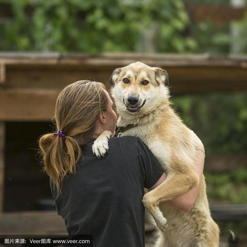 一个小女孩抱着一只狗子的头像图片可爱：世人皆苦唯有你甜。