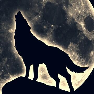 孤狼望月头像图文：当你说你不自由时