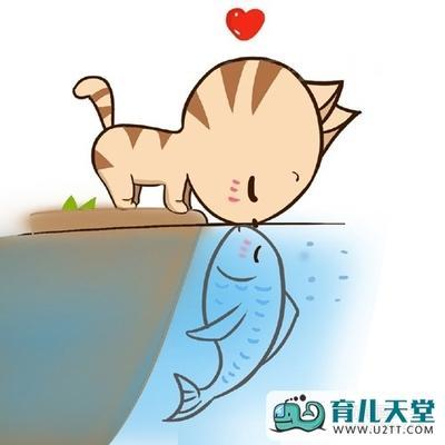 鱼和猫情侣头像图片简笔画大全：我至今单身