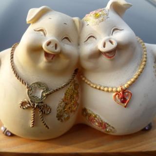 两只猪的情侣头像真实照片：大桶的爆米花和你一起吃