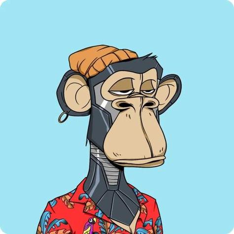 有一个猴子头像的聊天软件是什么：4每天也不知道在忙什么丧什么