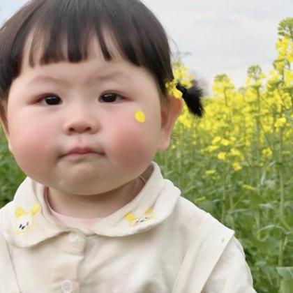 可爱胖胖的小女孩头像 微信 图文图片： 暖阳高照的草原上