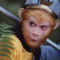 杨大侠以前的猴子头像原图大全：鼻尖飘荡着浓浓的粽香