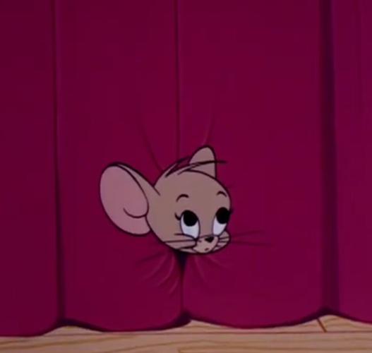 杰瑞鼠猫咪头像：——《不能说的秘密》