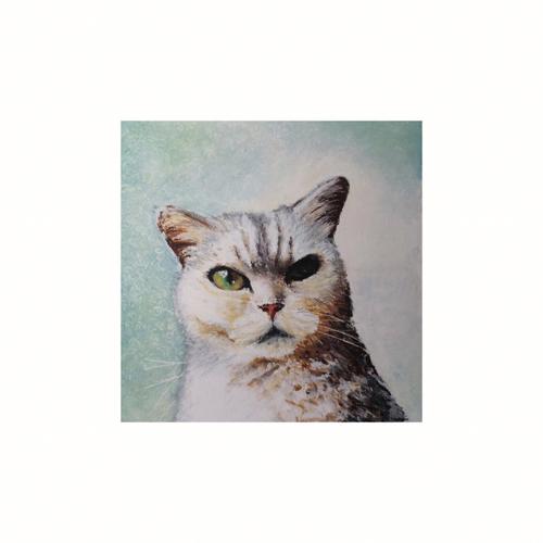 油画猫猫头像图片大全：猛虎是很少吼叫的