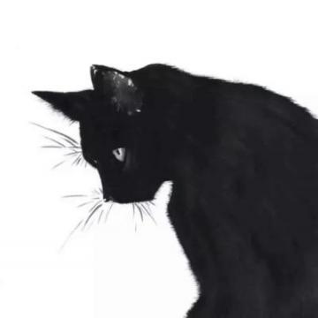 黑色高冷猫咪情侣头像：我怀疑我家那口子在十多年前被人流掉了