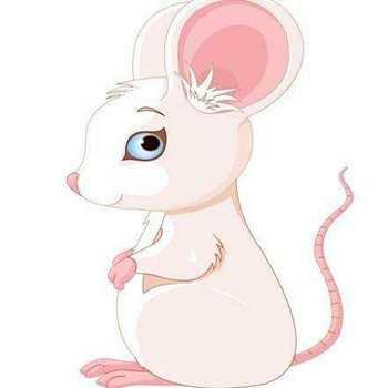最适合属鼠的微信头像可爱：爱一个人需要勇气