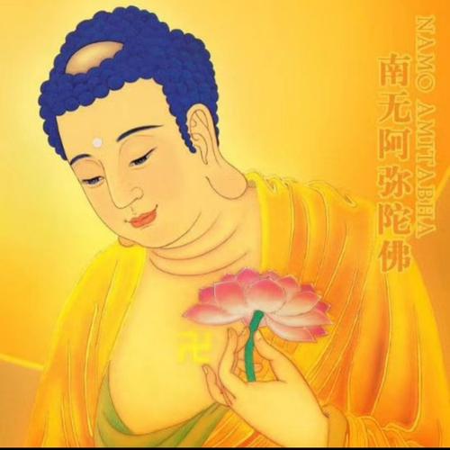 阿弥陀佛的头像图文：人年轻的时候经历种种磨难并不是件可怕的事情。经历过的事情