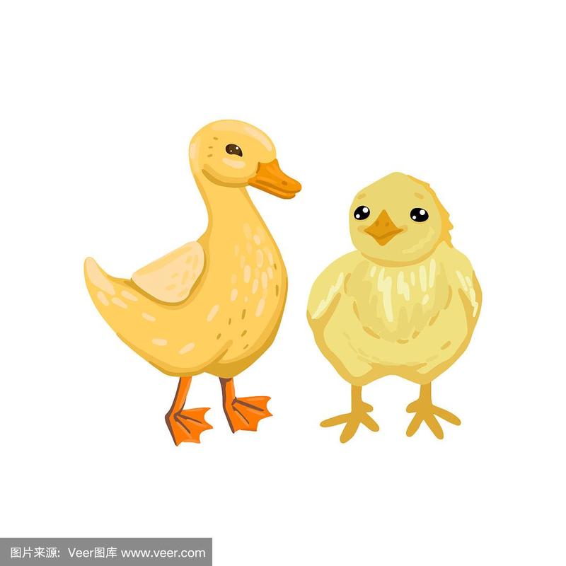 关于鸡和鸭的头像图片可爱：冷战时你需要的是聪明地摔倒一下。