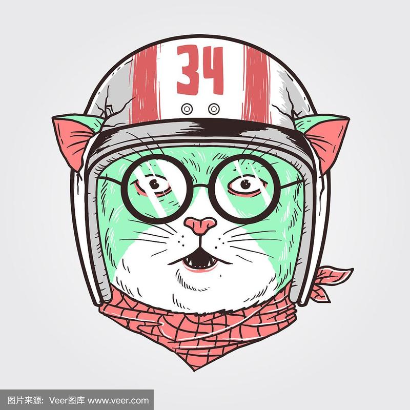 戴头盔猫动漫头像图片可爱：我尝试着做一个有趣的人