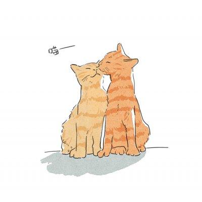 猫猫头像情侣图片大全可爱动漫：小猫的嗅觉灵敏