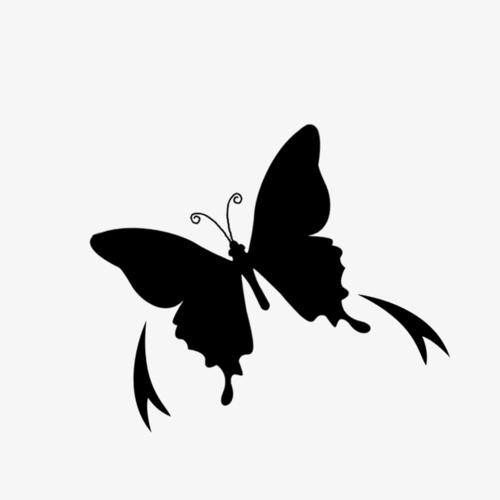 女生用黑蝴蝶的头像代表什么意思：有时候