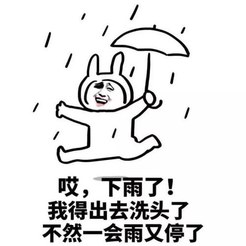 淋雨头像熊猫头表情包：天凉了