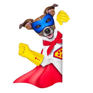 超级英雄狗头头像图片： 我们的生命