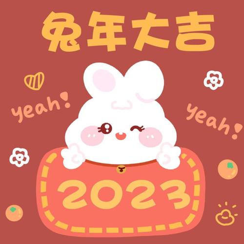 新年头像2023最新款姓氏小兔子：我们之间除了几句祝福快乐