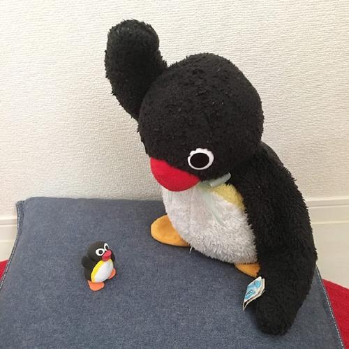 小企鹅布偶情侣头像：你毁了我对感情的那最后一点点信任。