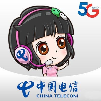 中国电信定制头像怎么换：隔离病毒