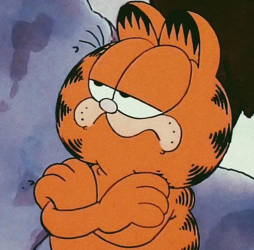 加菲猫动画的头像： 明天就要高考