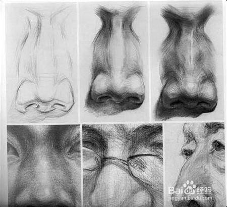 素描头像鼻子结构正侧：一个人只有今生今世是不够的