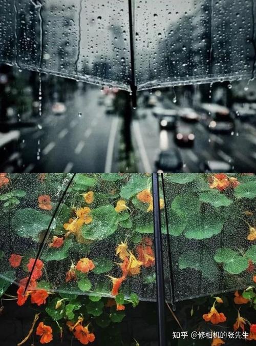 下雨玻璃窗头像的寓意：每当下雨的时候