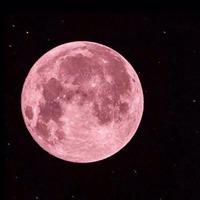 月亮头像粉色背景： 酷到六亲不认