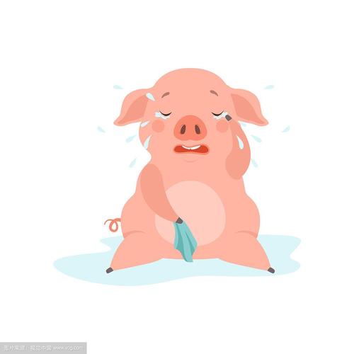小猪悲伤的头像：你是遥不可及的
