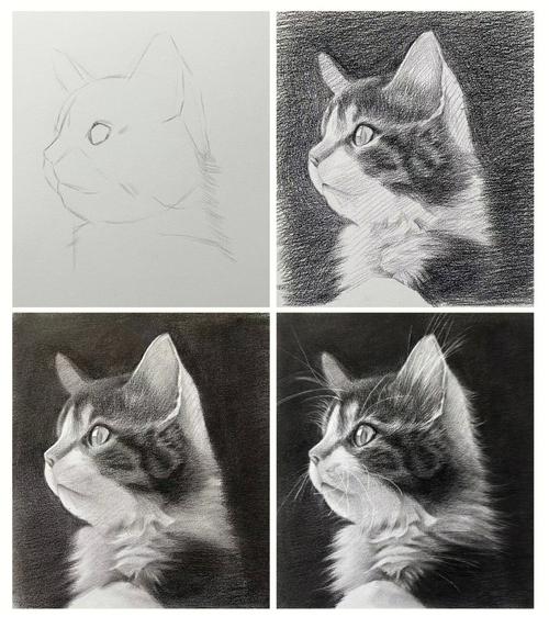 超级可爱的猫猫头像素描：历遍人间