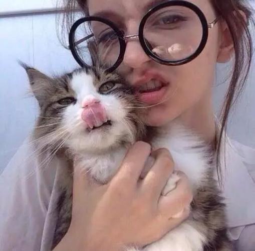 一个带猫的欧美头像：每天的情绪好像就只有两种
