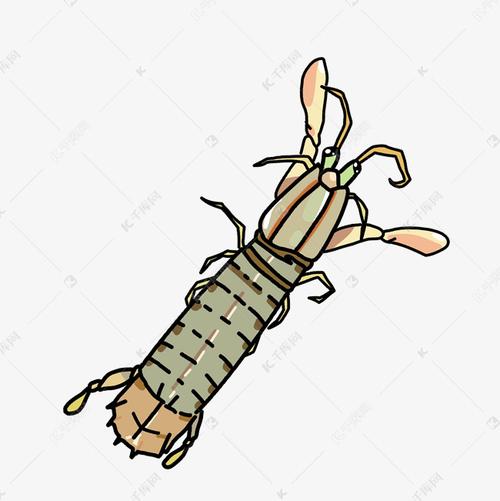 皮皮虾图片 头像可爱： 这个世界上没有不带伤的人