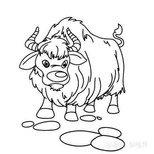 藏族牦牛头像简笔画图片：君烟笼树省淹留。
