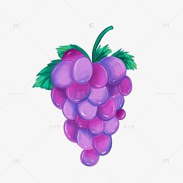 紫色蓝莓葡萄头像图片： 一整天的好心情来源于：睡到自然醒