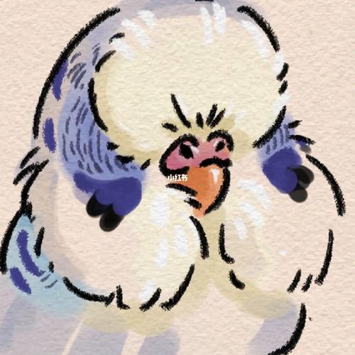 牡丹鹦鹉可爱头像画出来的是什么样的： 希望他知道又不希望他知道