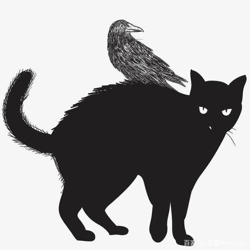 占卜师与黑猫头像图片对比：其实我也想安安静静的做作业