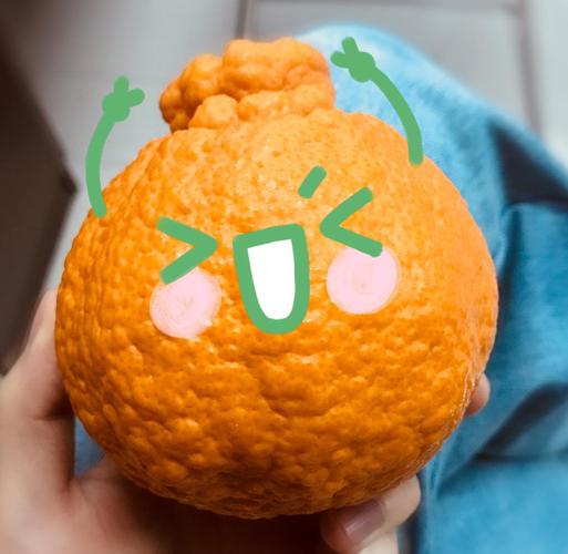 彩色的橙子头像： 与怪物战斗的人