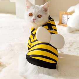 猫咪穿蜜蜂衣头像：无论我变得如何强大