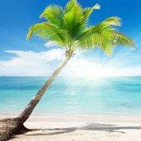 海边椰子树的头像：还记得上一年看阚清子和纪凌尘的综艺节目