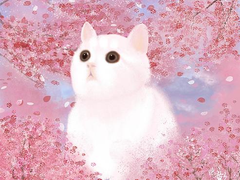 小奶猫头像粉色可爱图片：外面情侣那么多