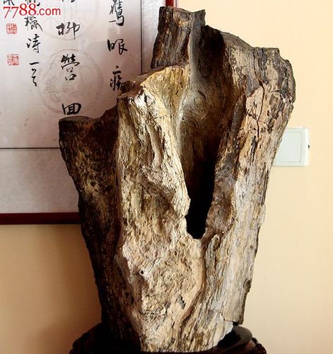 石头像木头可以卖不出去吗：1998年马化腾开QQ