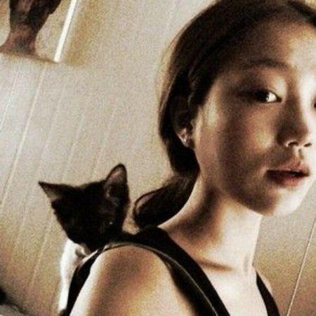 一个女孩和一只猫的头像代表什么意思：越喜欢你就越可爱