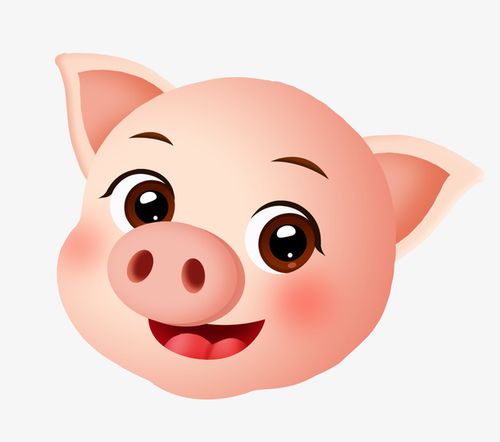 猪的卡通头像带名：猪年到