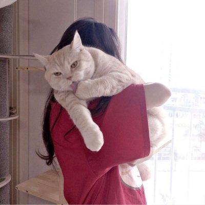 女生抱猫猫的头像不露脸：你喜欢的人也是凡人
