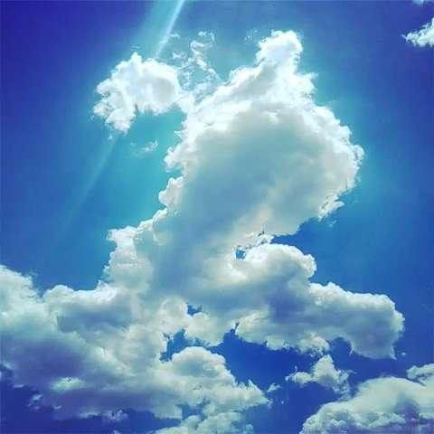 白鹤站立蓝天图片头像： 生活中不可能天天都有明媚的阳光