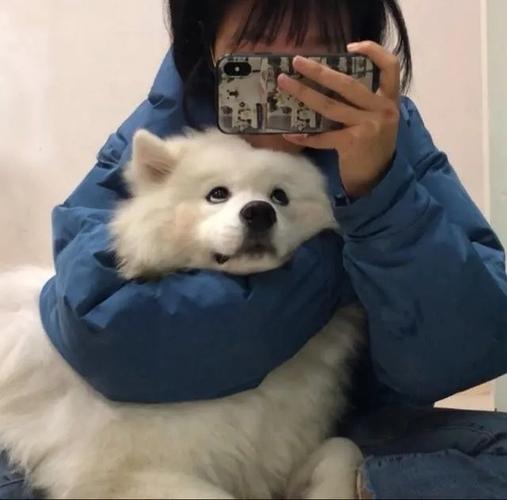 一个女孩抱着一只狗狗的头像图片：你可能会开始产生疑问